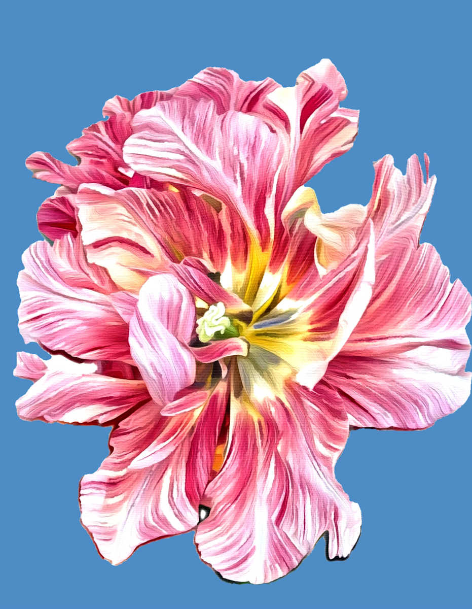 Blue Serenity Tulip by Mica Hoberg, Image 1.