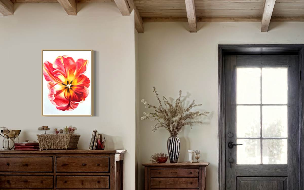 TulipWonder by Mica Hoberg 