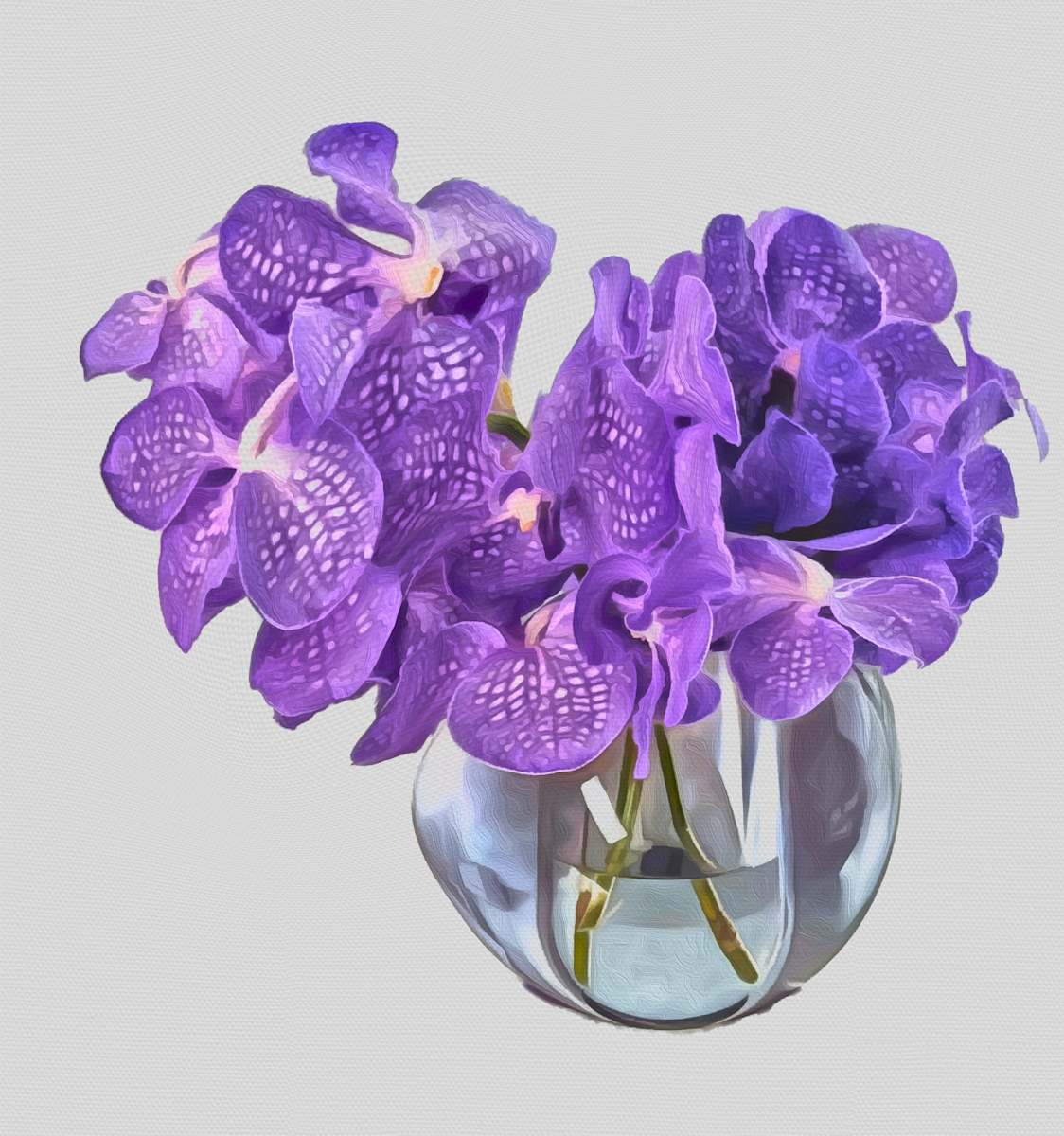 OrchidElegance by Mica Hoberg 