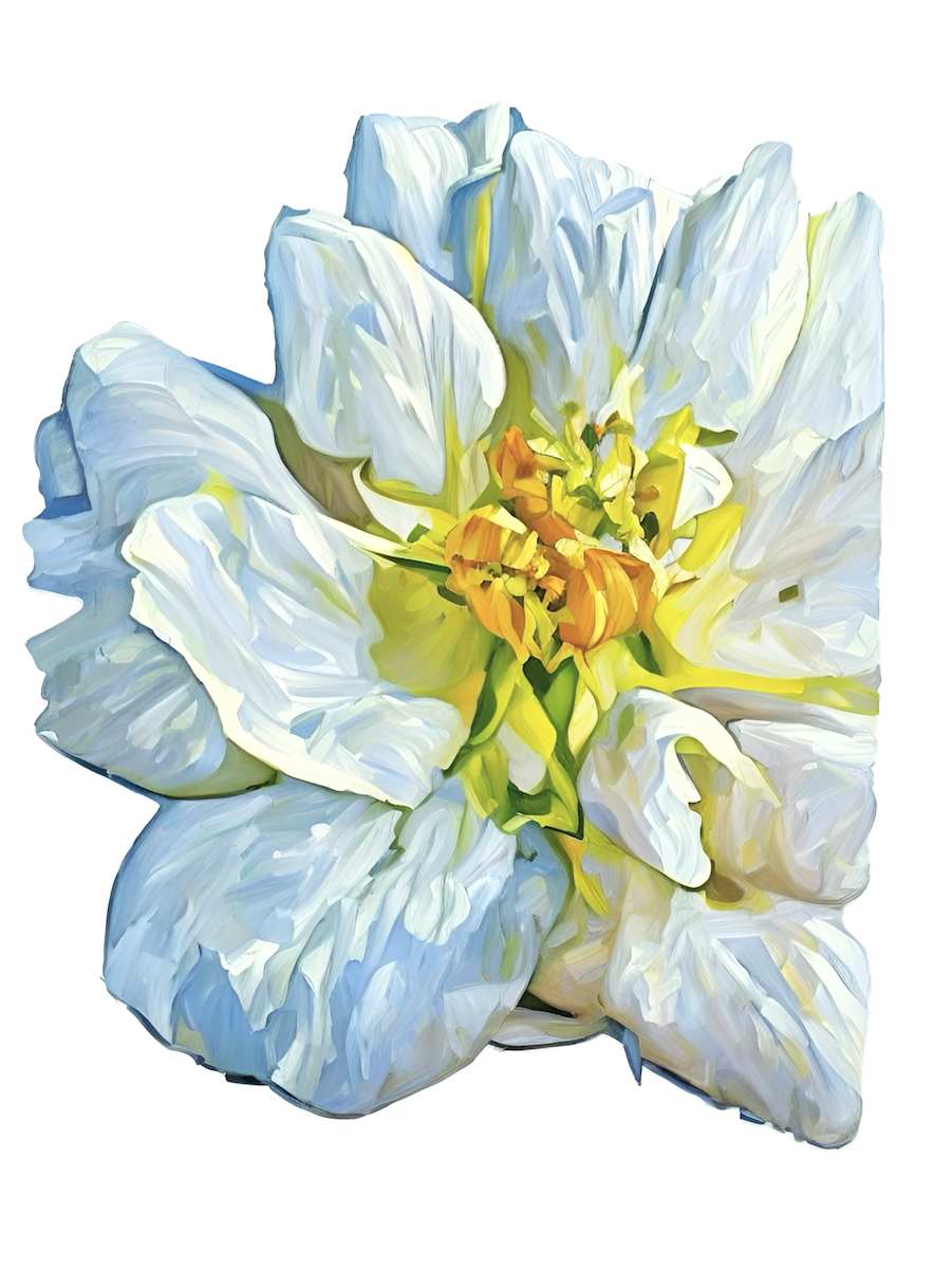 Timeless Bloom by Mica Hoberg  Image: A fully opened white peony, modern and pure, capturing timeless elegance and grace.