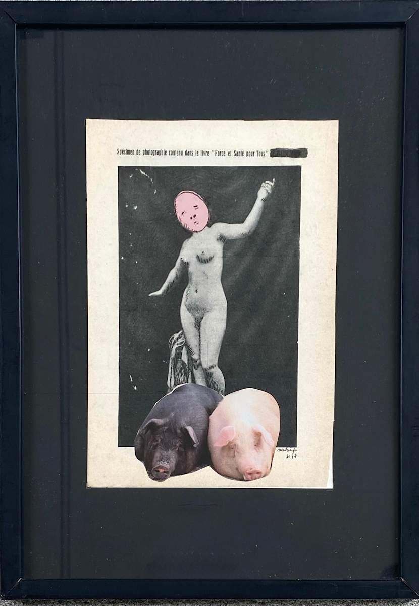 FORCE AND SANTÉ POUR TOUS by saskia pintelon, Image 8.