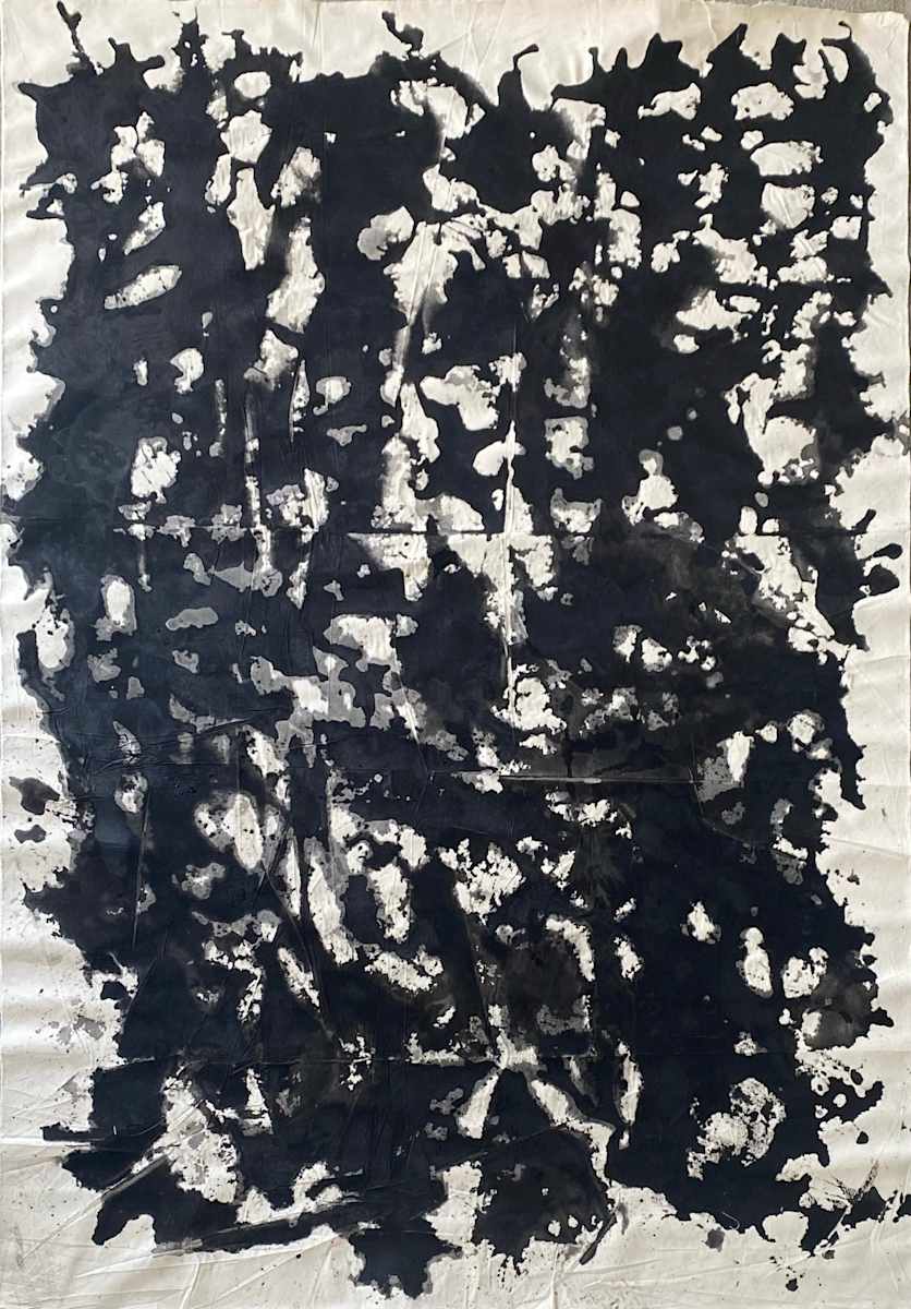 BLACK AND WHITE DREAM by saskia pintelon 