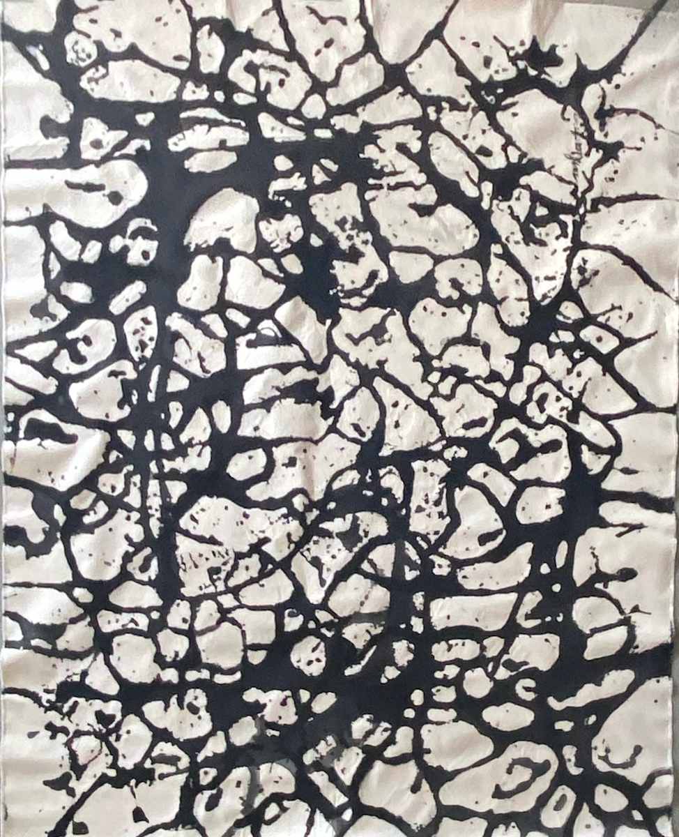BLACK AND WHITE DREAM II by saskia pintelon, Image 1.