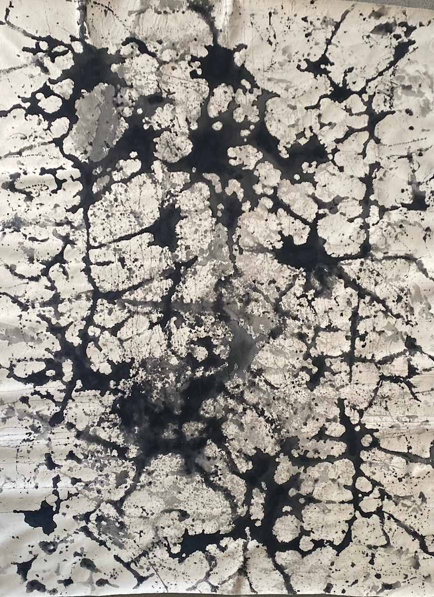 BLACK AND WHITE DREAM IV by saskia pintelon 