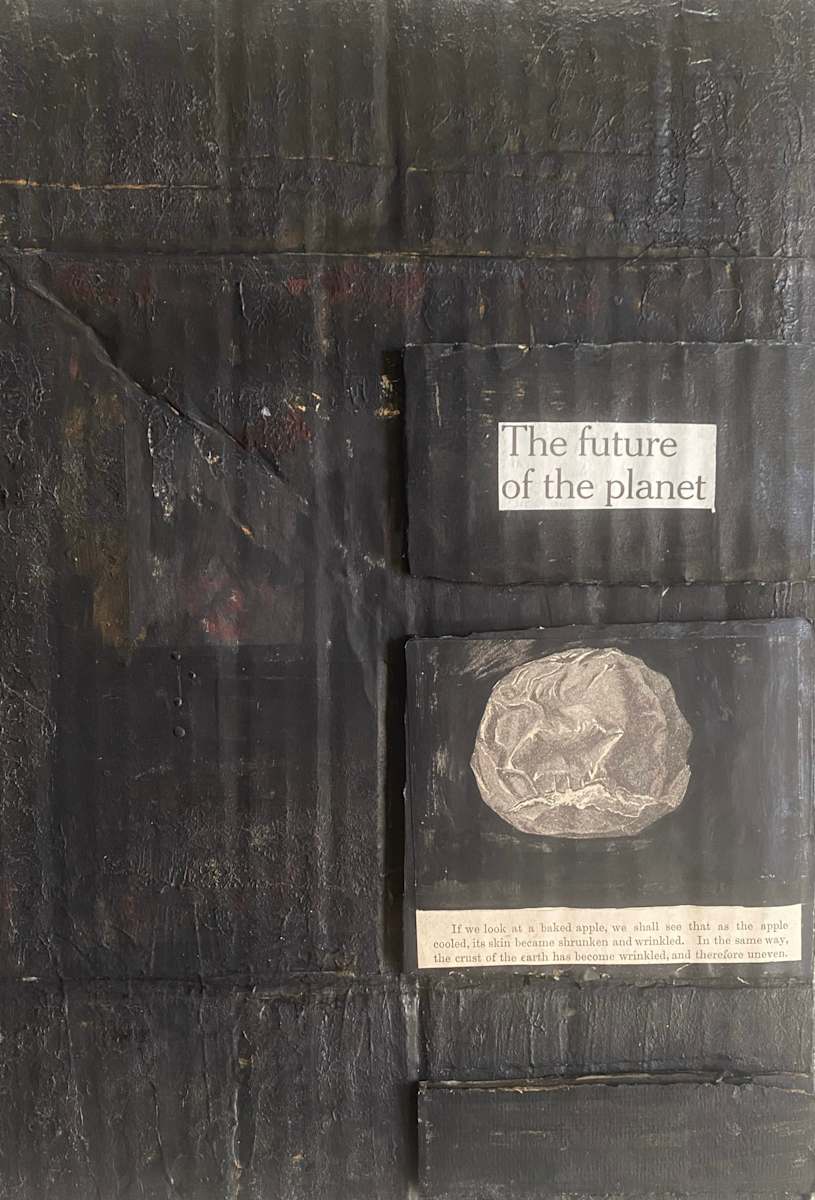 THE FUTURE OF THE PLANET by saskia pintelon 