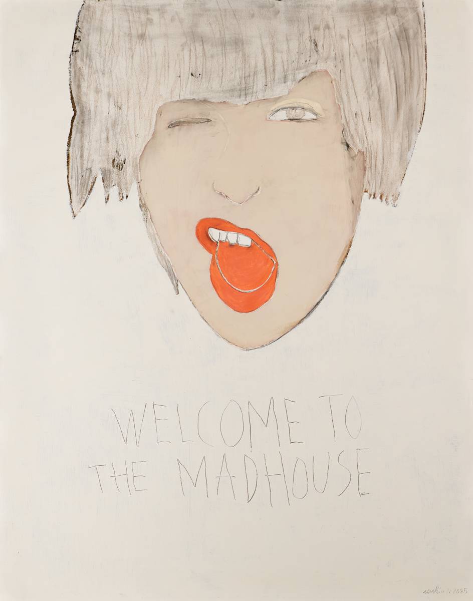 WELCOME TO THE MADHOUSE by saskia pintelon 