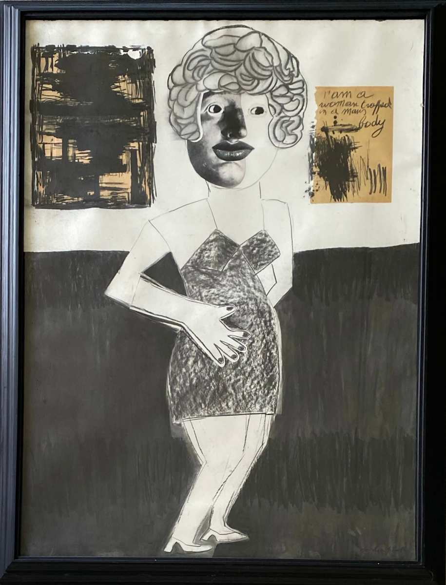 I AM A WOMAN IN A MAN'S BODY by saskia pintelon 