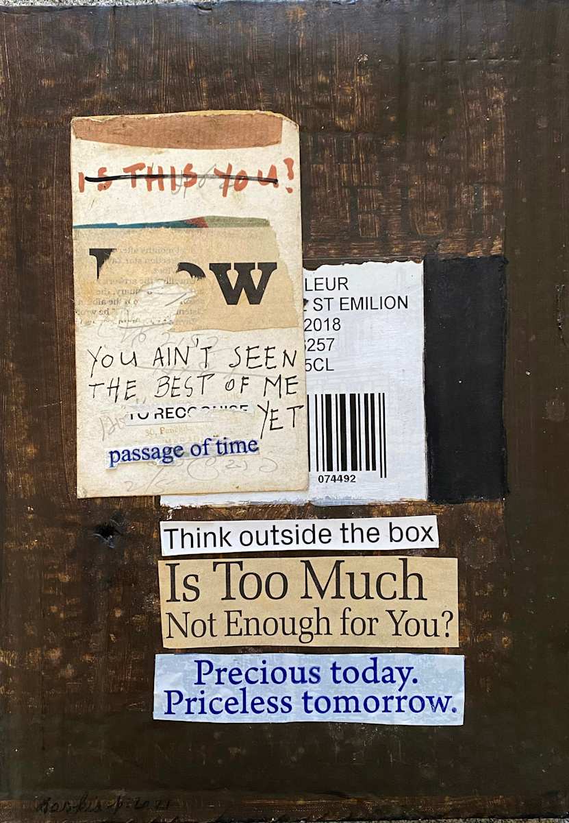 YOU AIN'T SEEN THE BEST OF ME YET by saskia pintelon 