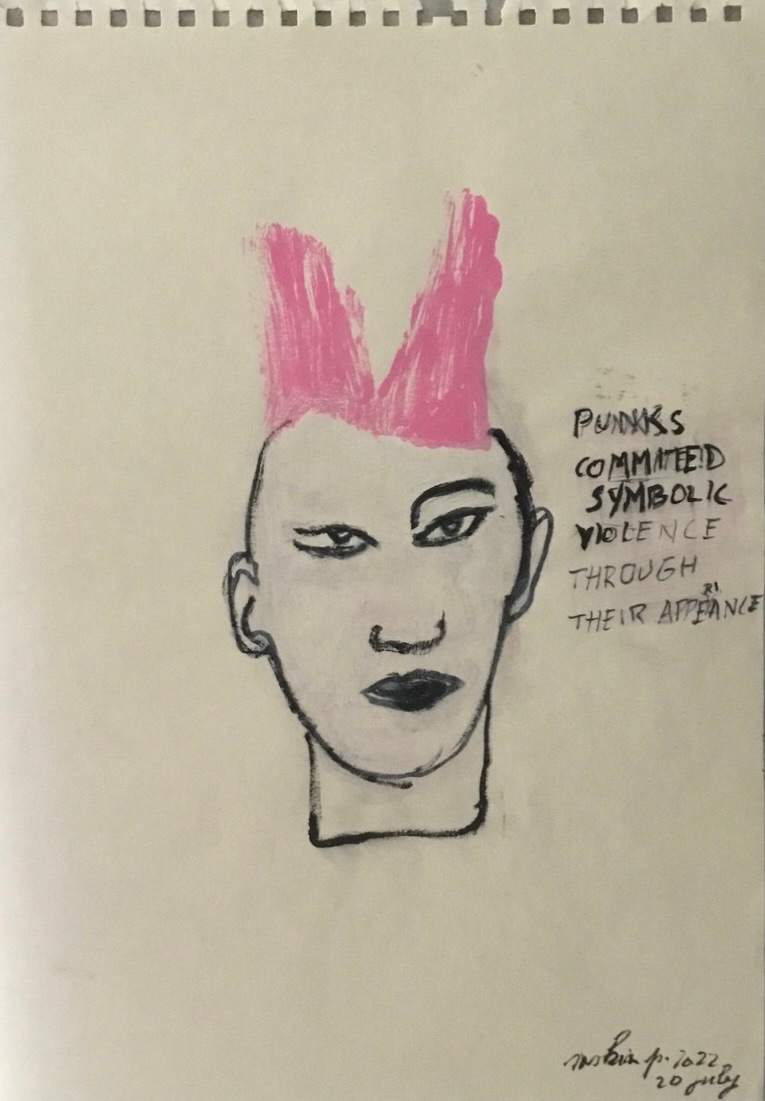 PUNKS  COMMITTED  SYMBOLIC VIOLENCE THROUGH THEIR APPEARANCE by saskia pintelon 