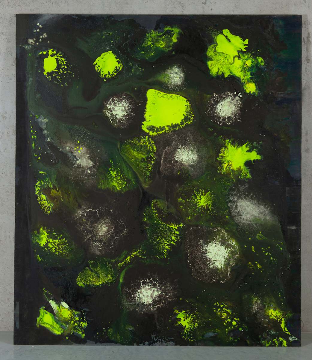 MONKEY CURRY  IV by saskia pintelon, Image 1.