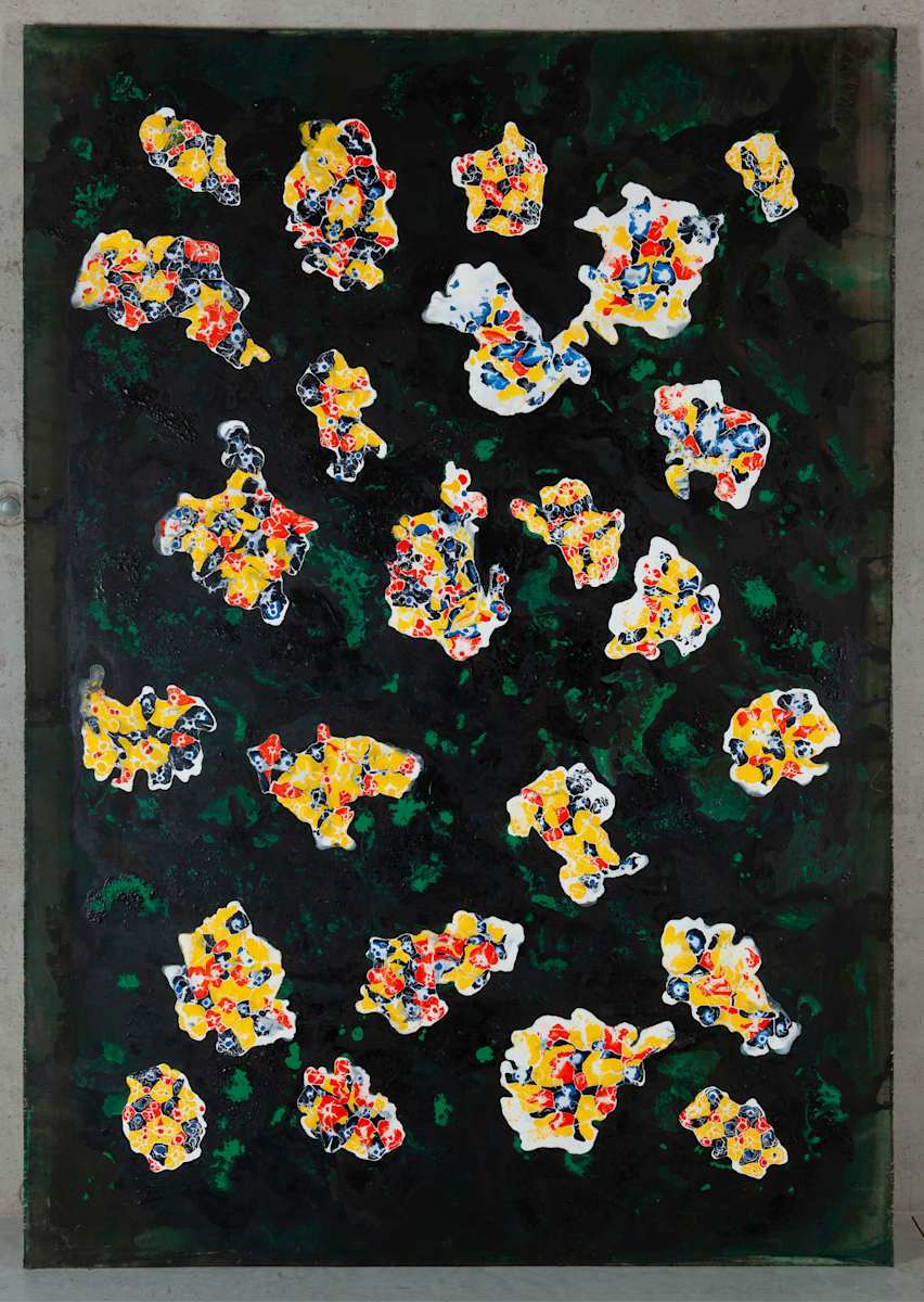 MONKEY CURRY  VII by saskia pintelon 