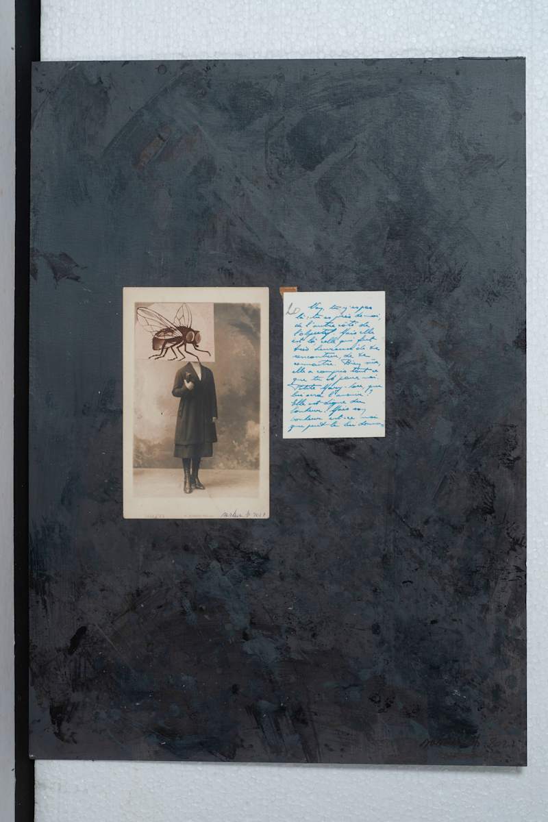 FLY HEAD by saskia pintelon, Image 2.