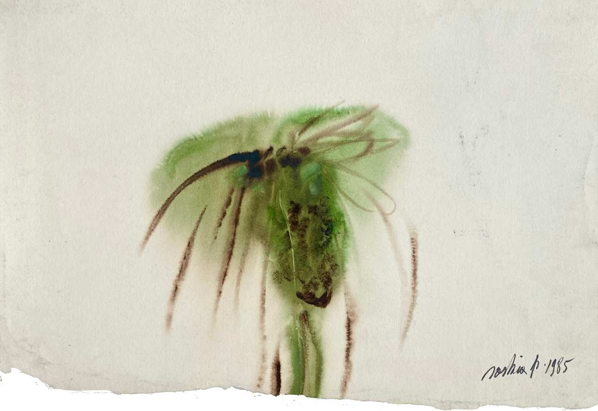 palm by saskia pintelon, Image 1.