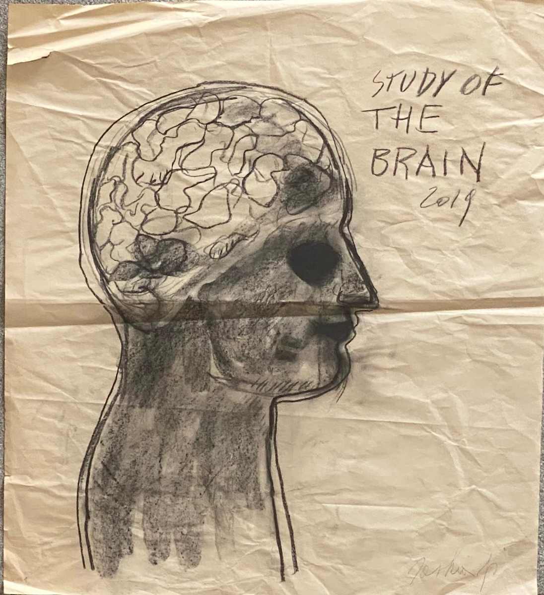 STUDY OF THE BRAIN by saskia pintelon 