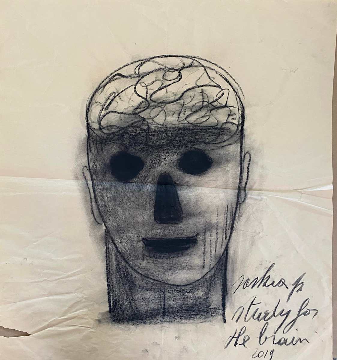 study for the brain by saskia pintelon 