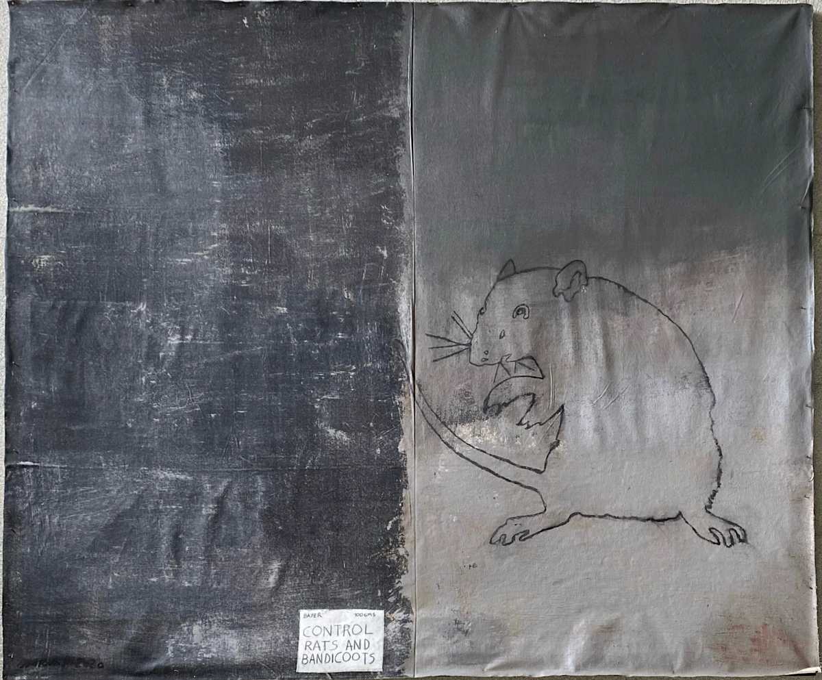 CONTROL RATS AND BABICOUTS by saskia pintelon, Image 16.