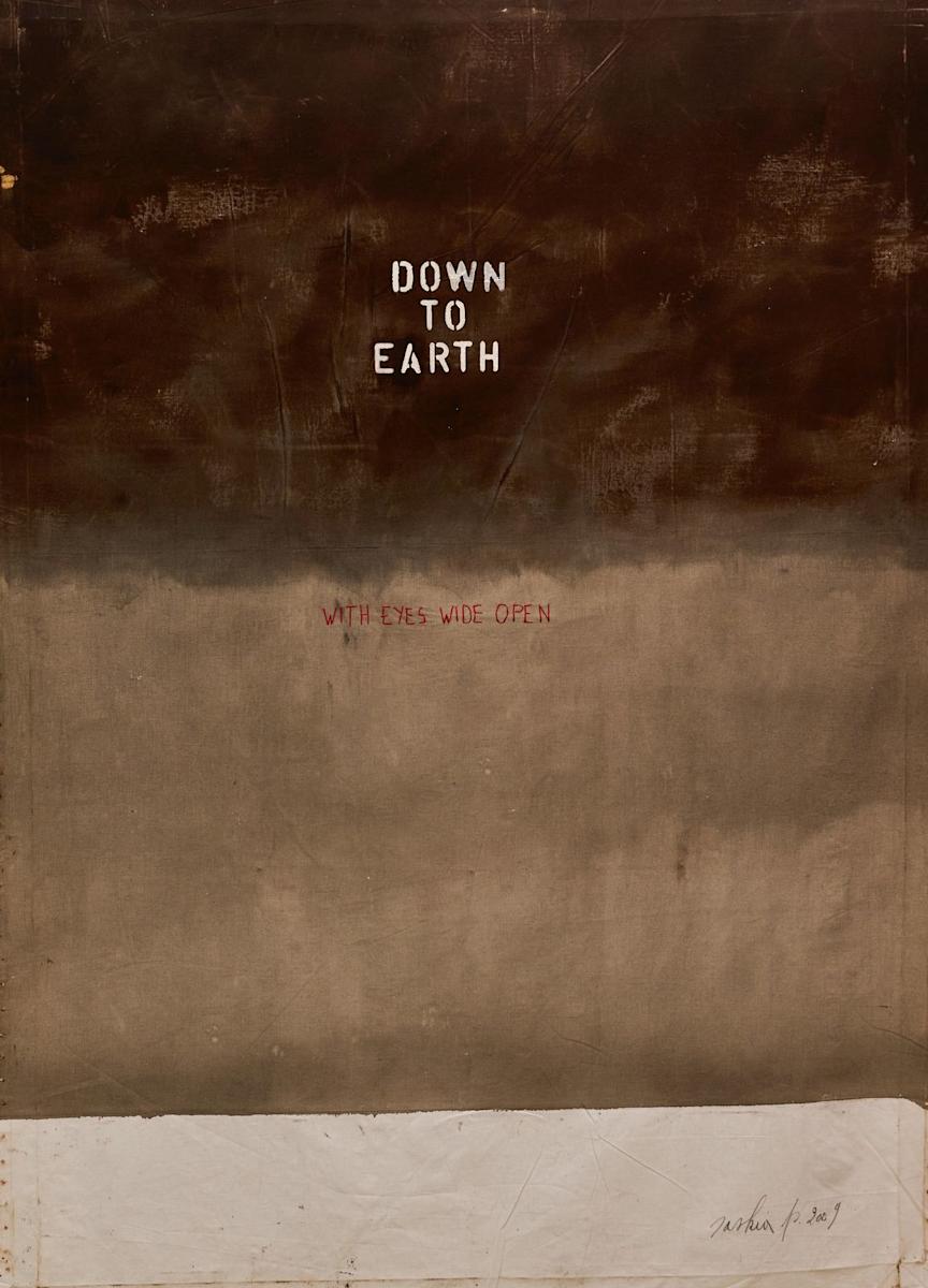 DOWN TO EARTH by saskia pintelon 