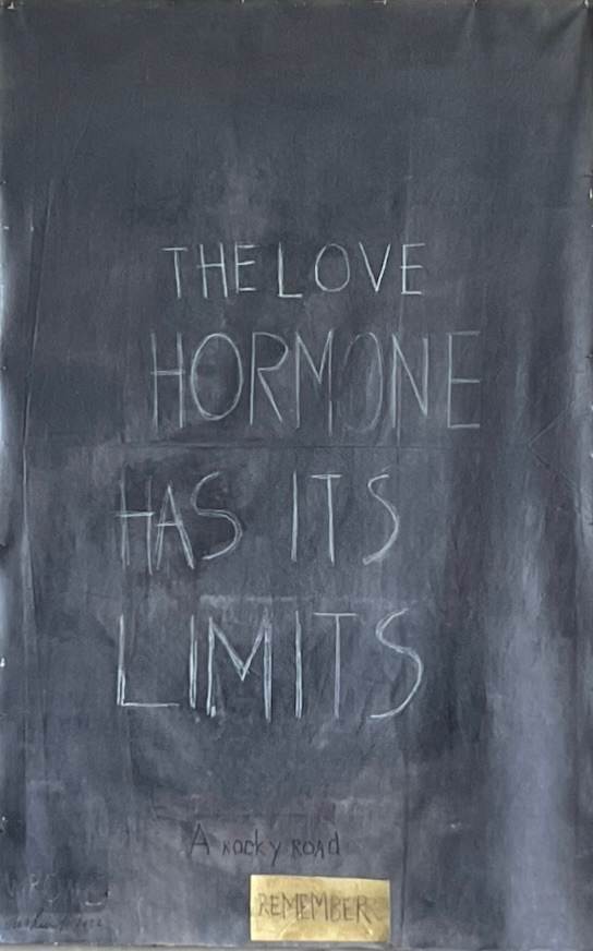 THE LOVE HORMONE HAS ITS LIMITS by saskia pintelon 