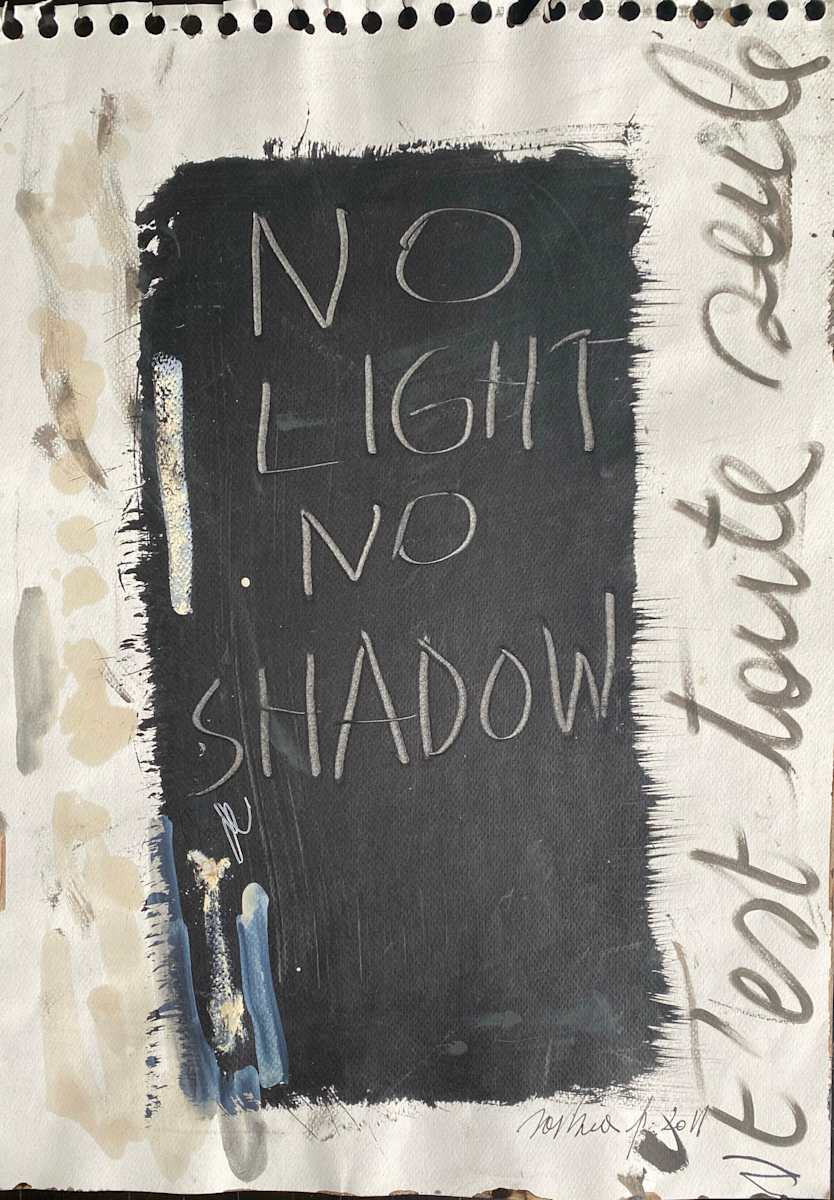 NO LIGHT NO SHADOW  T'EST TOUTE SEULE by saskia pintelon, Image 9.
