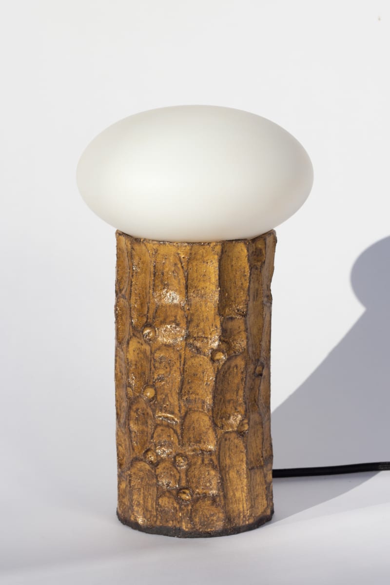 Apogee Light by Emma Sher 