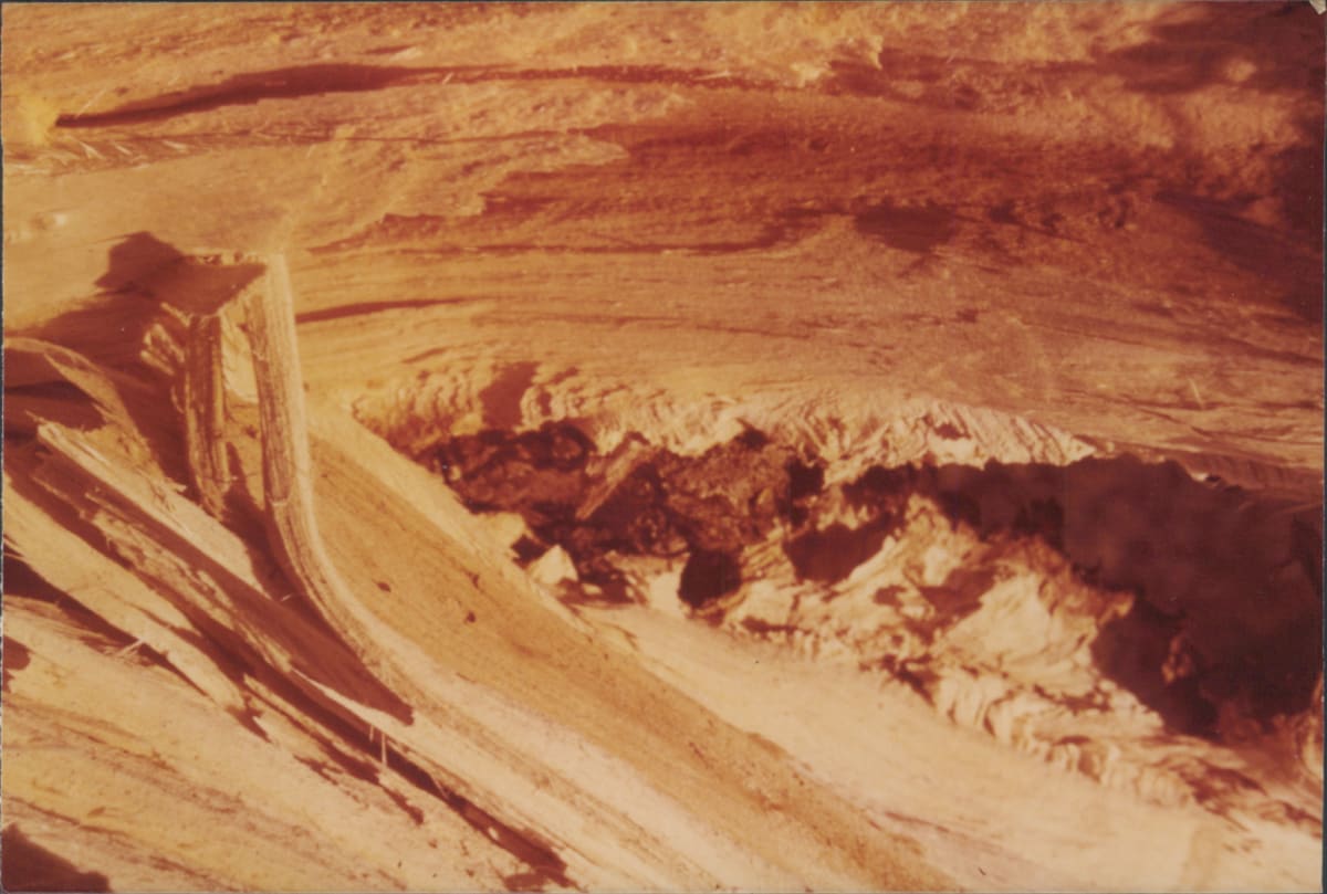 chain saw by charles elwert, Image 1.