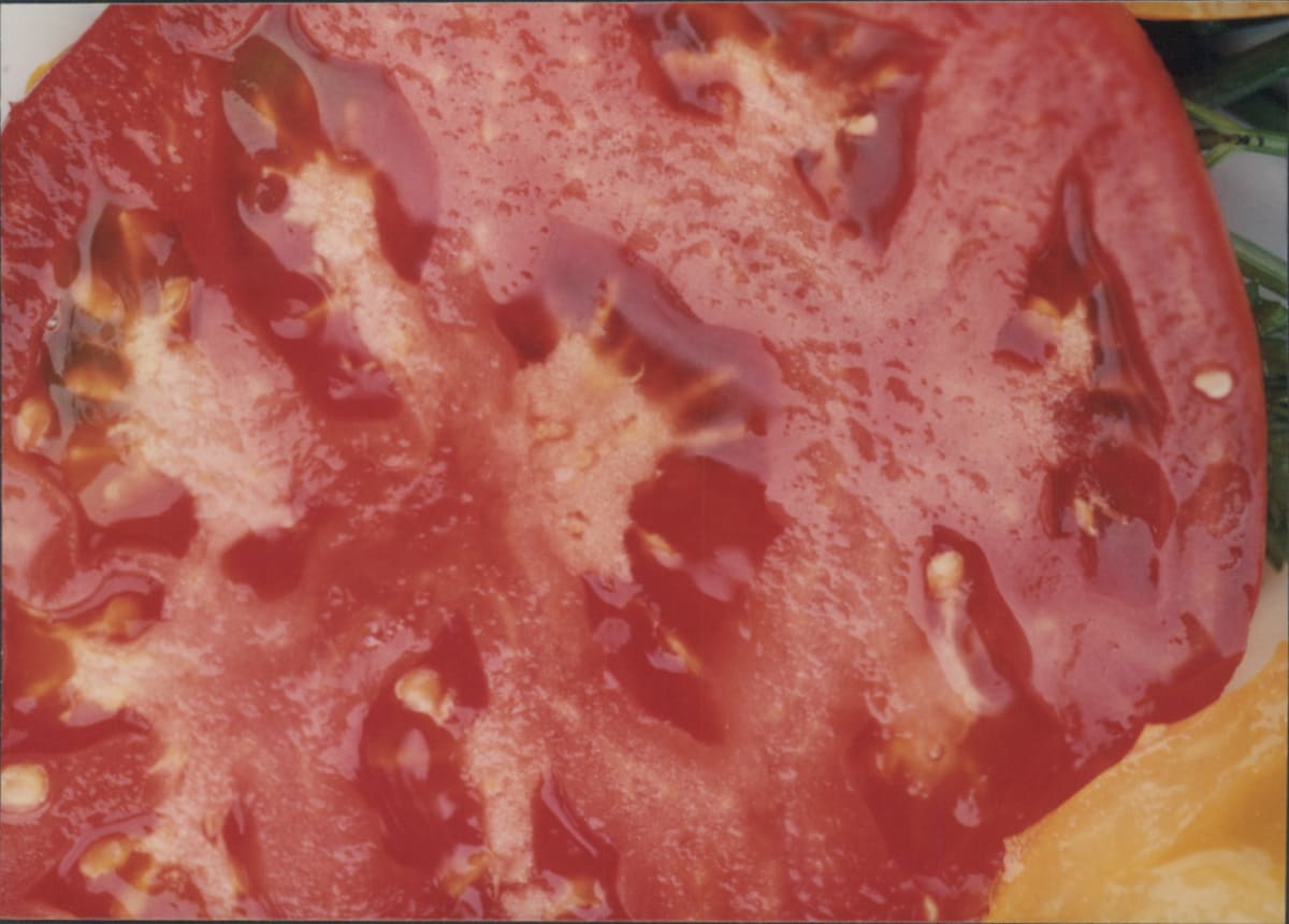 BIG BOY by charles elwert 