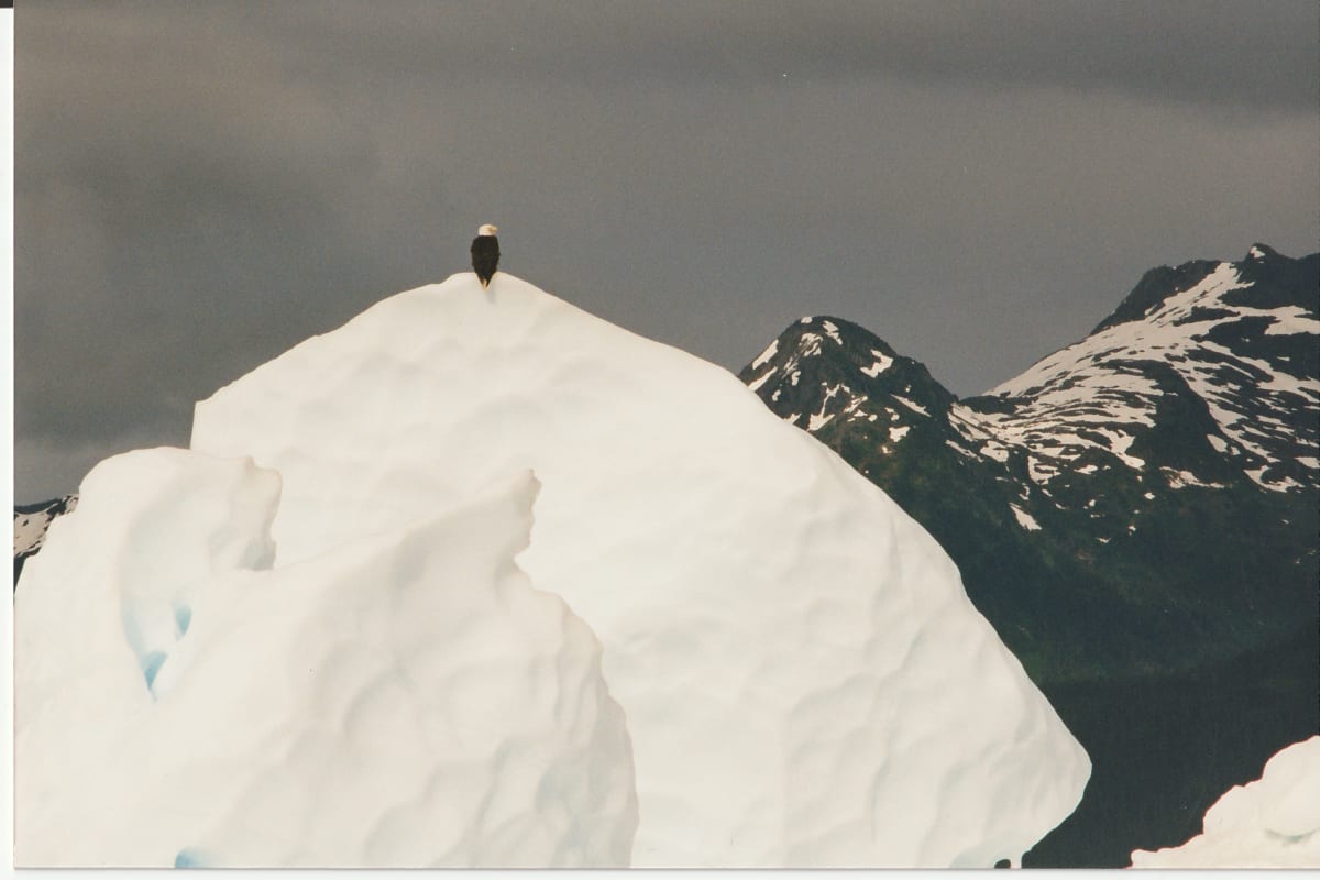 extinct glaciers by charles elwert, Image 1.