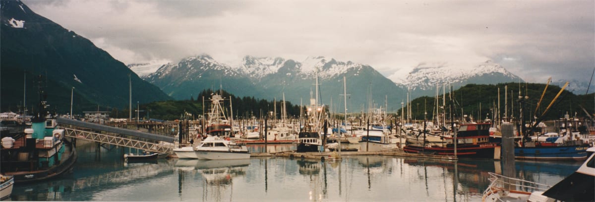 Valdez Harbor Panorama by charles elwert 