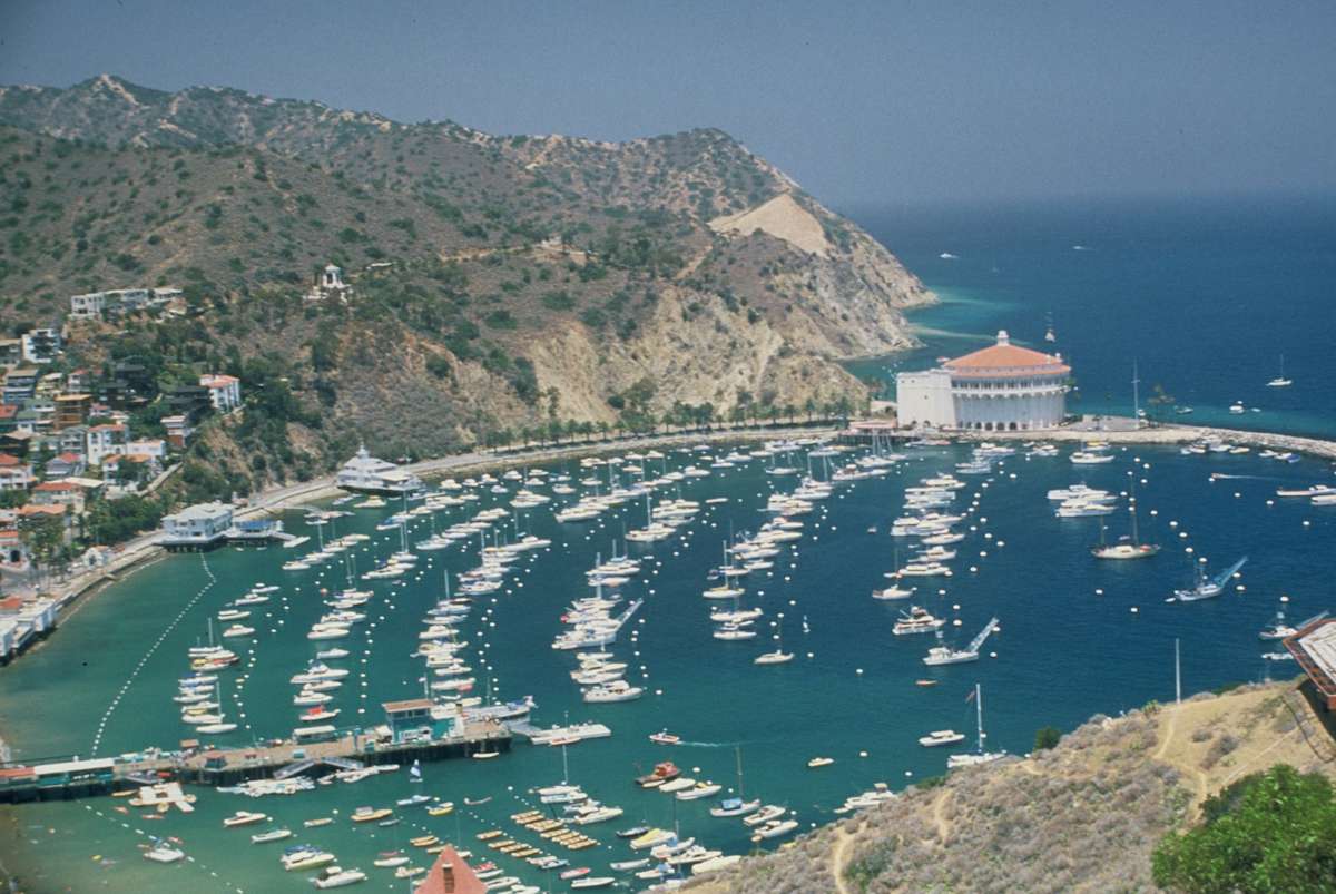 AVALON by charles elwert, Image 1.