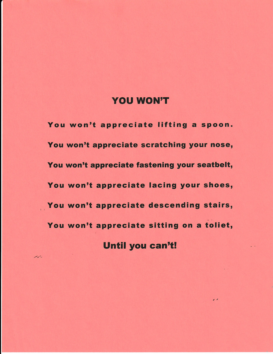 YOU WON'T by charles elwert 