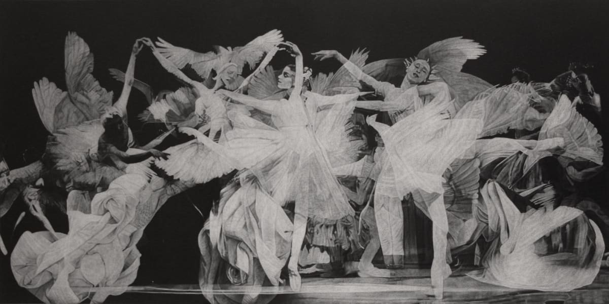 The dance with the birds (copy) by Julio Cesar, Image 1.
