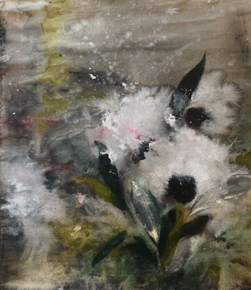 ColorTransitions by Moni Moka 