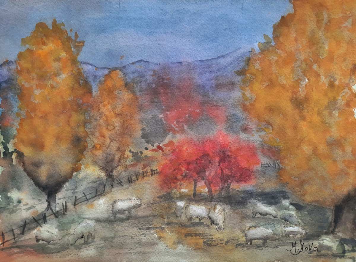 Quila Quina by Moni Moka  Image: Paisaje de San Martin de los Andes