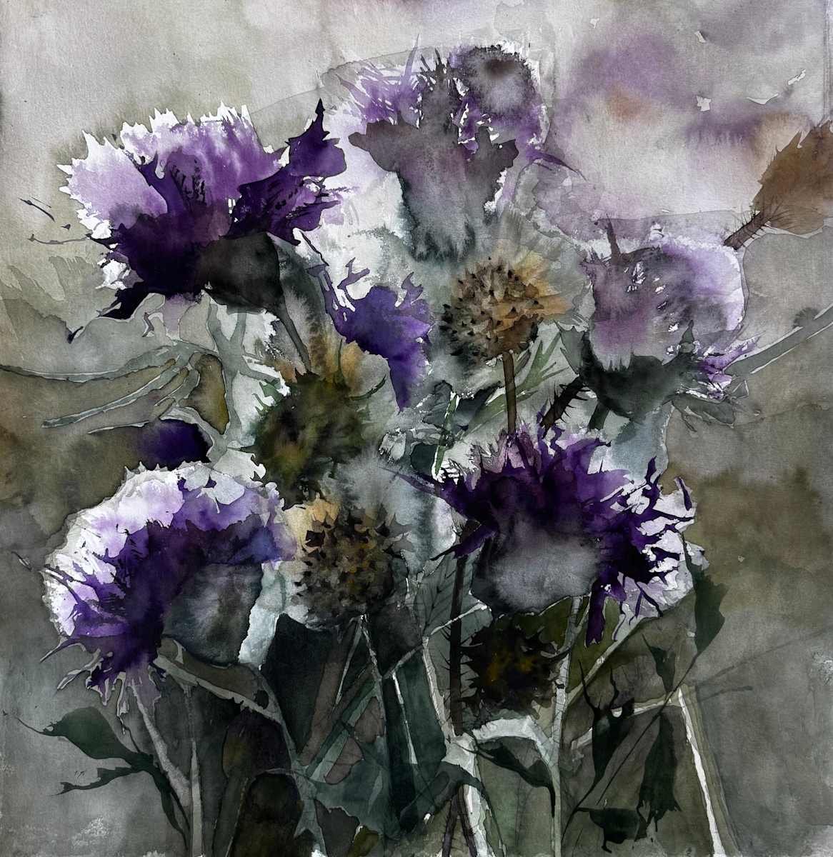 Carditos by Moni Moka 