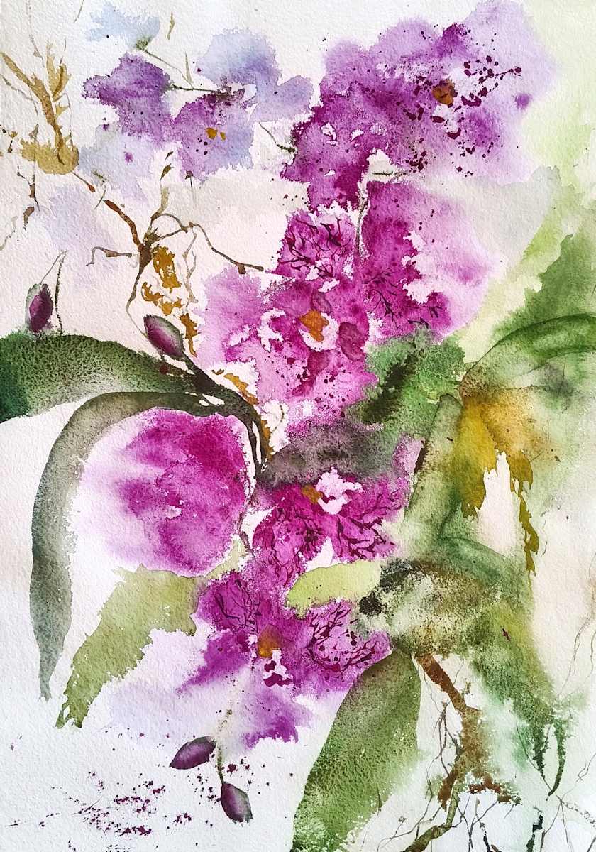 Orquídea by Moni Moka 