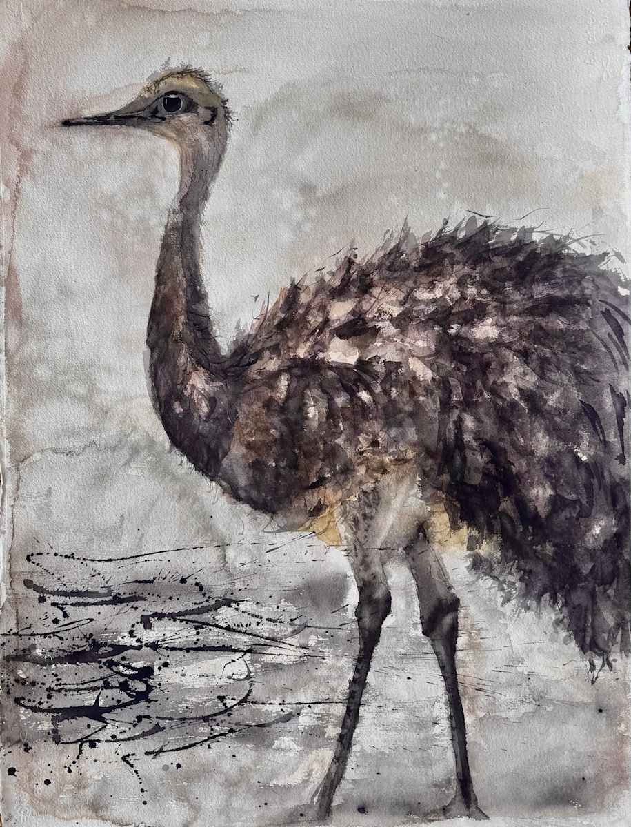 Choique by Moni Moka 