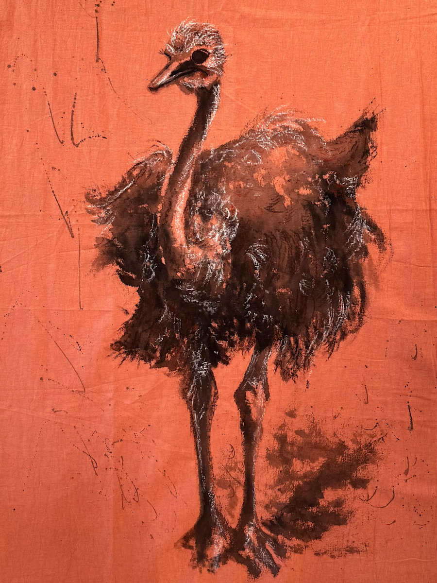 Choique sobre color by Moni Moka 