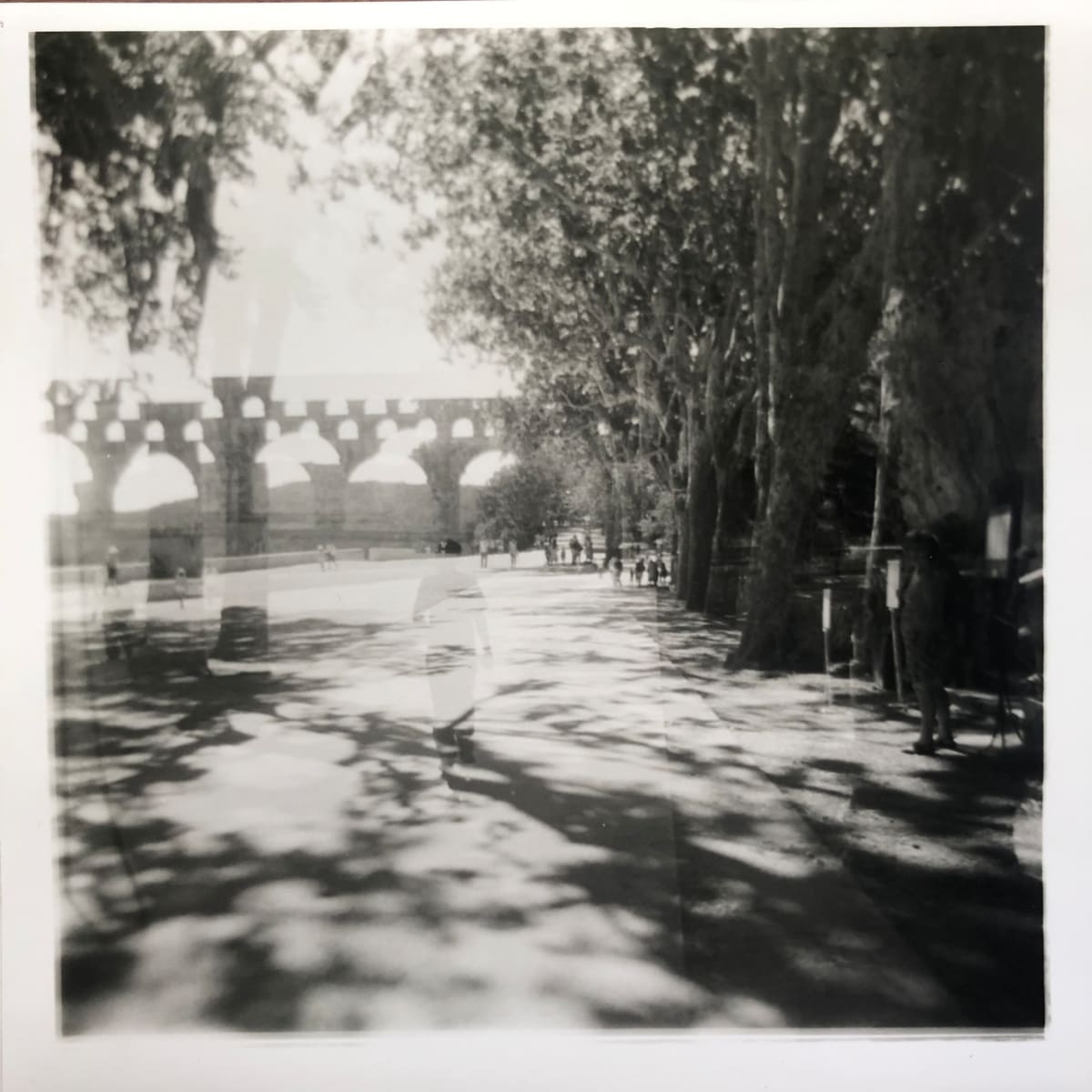 Les Tapies Photograph: Avignon Landscape by Marianne Wilson Studio 