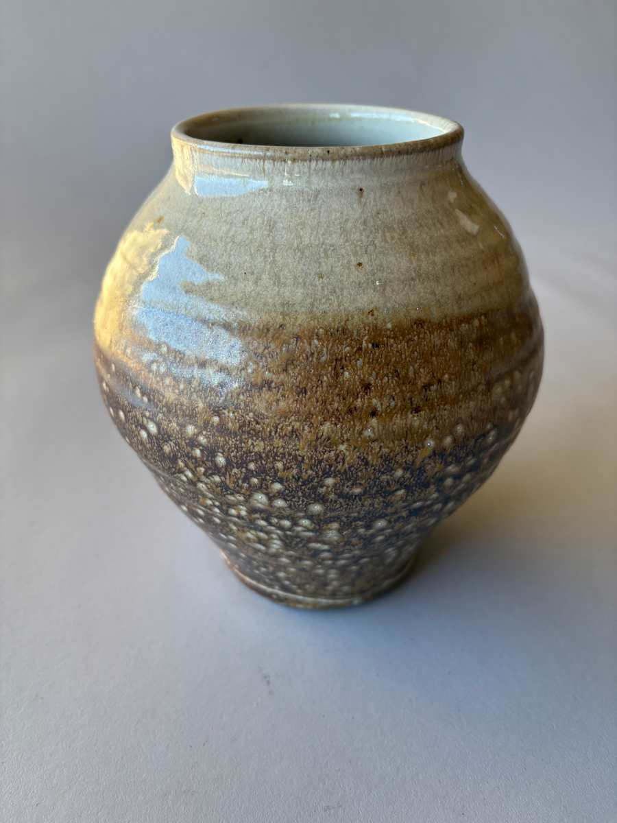 Ceramic Vase (wood fired) by Marianne Wilson 