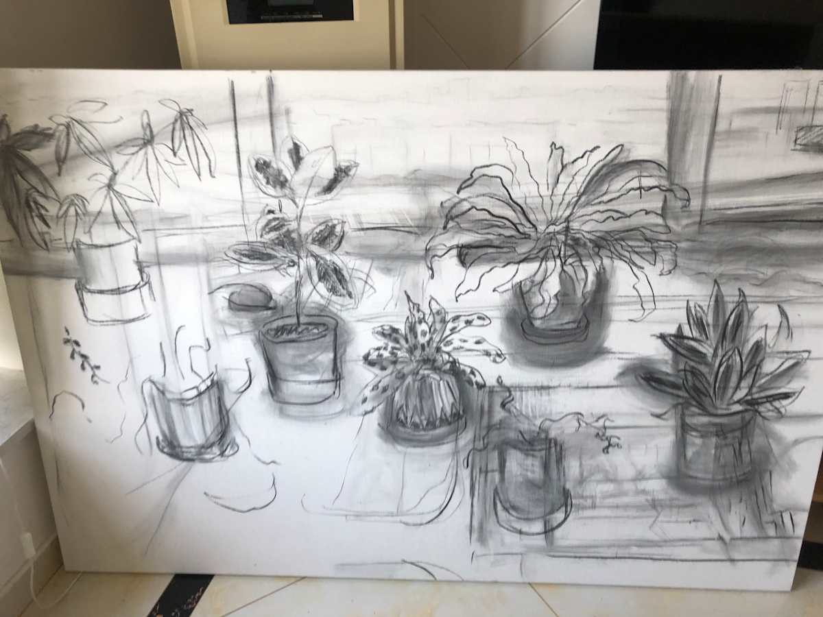 Houseplants in China by Marianne Wilson 