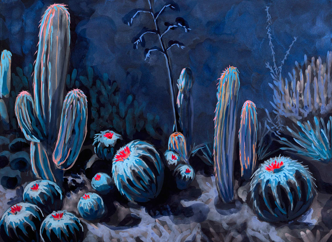 sometimes it snows in the desert by Jen Dunlap 