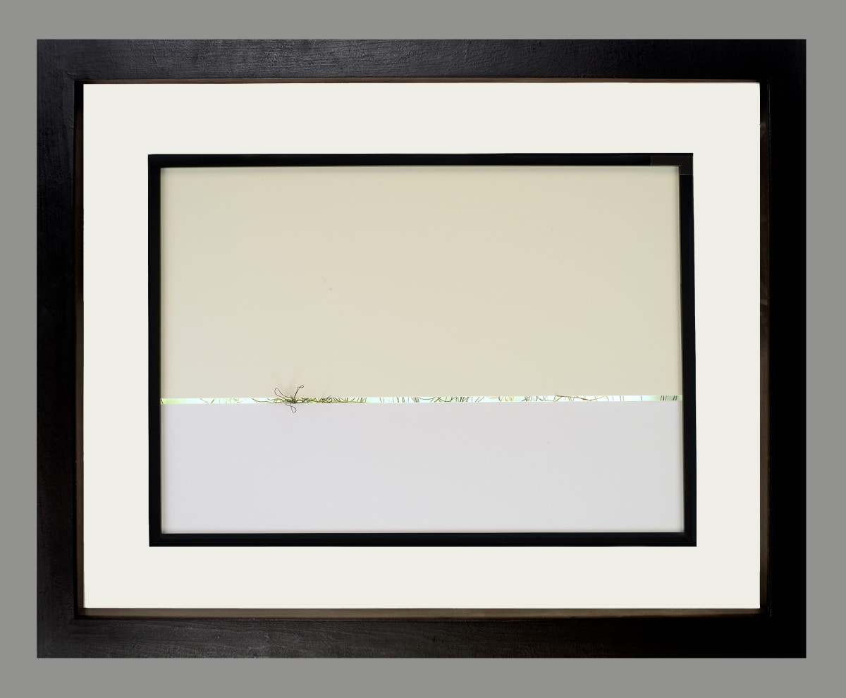 Evidence of Life by Shelby Head 