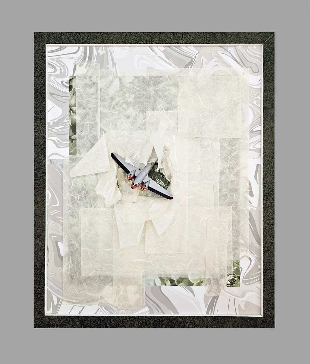 Alien Enemies Act by Shelby Head 