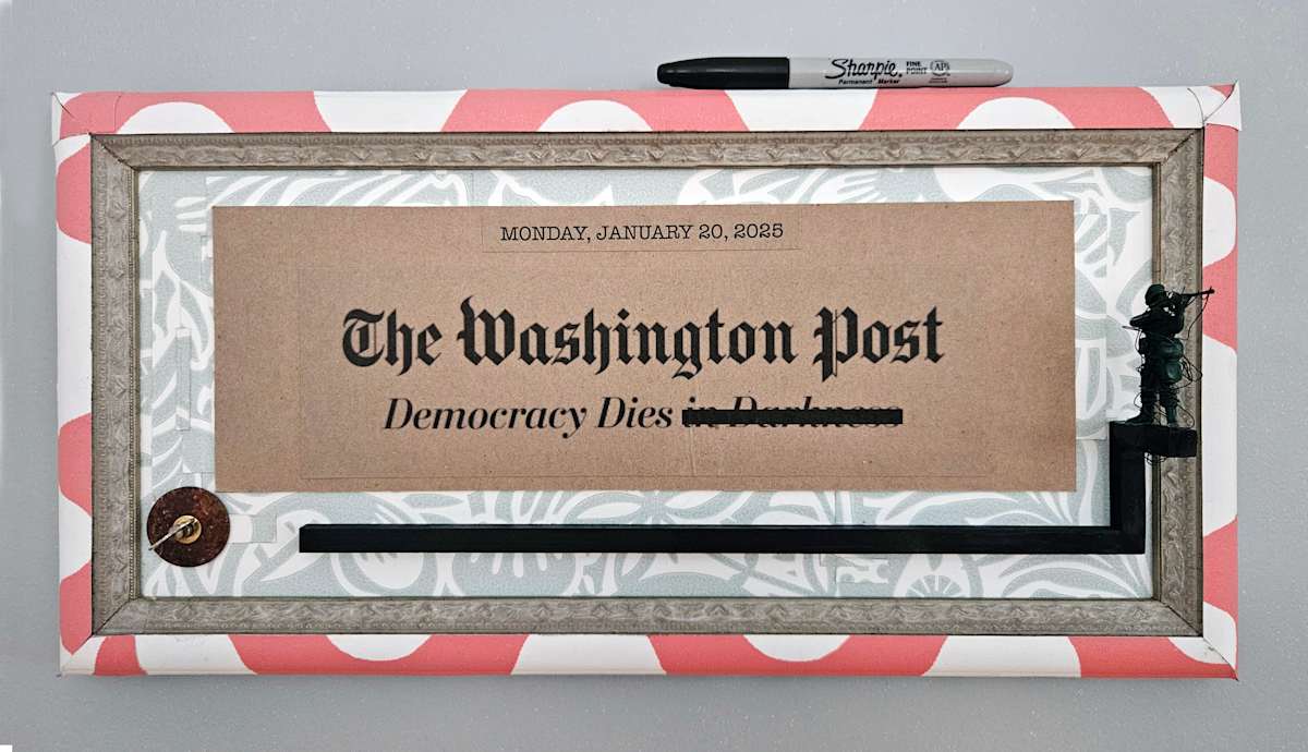 Democracy Dies by Shelby Head 