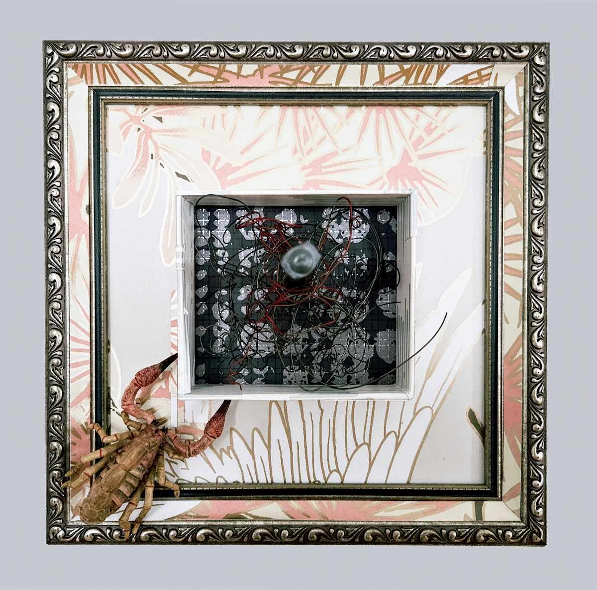 Scorpion State by Shelby Head, Image 2.
