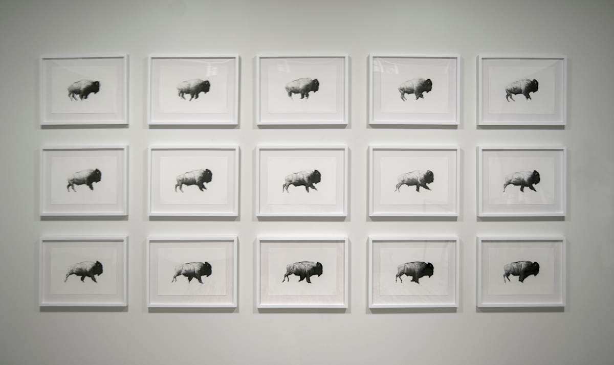 Then Your Prairies Can Be Covered With Speckled Cattle 1-16, Joel Daniel Phillips by Shelby Head  Image: Then Your Prairies Can Be Covered With Speckled Cattle 1-16, Joel Daniel Phillips