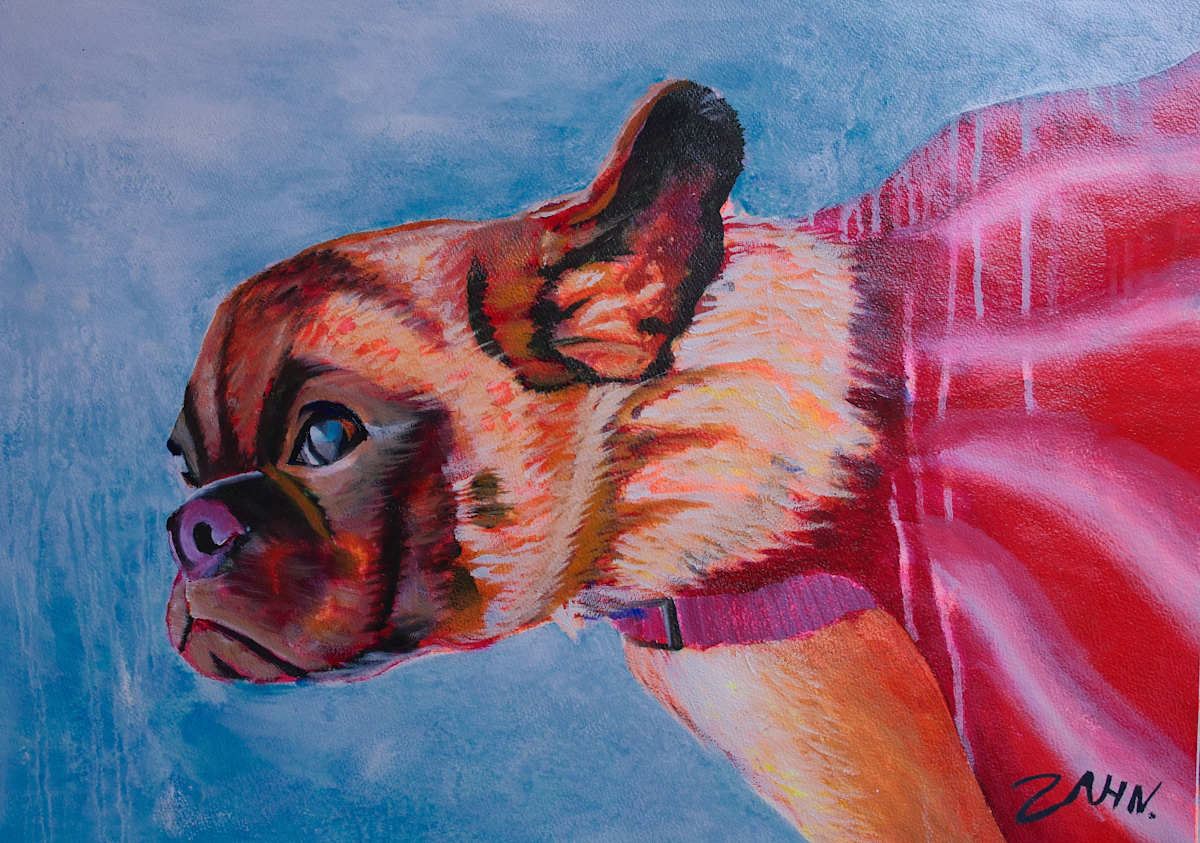 Superdog by Zahn du Plessis, Image 1.