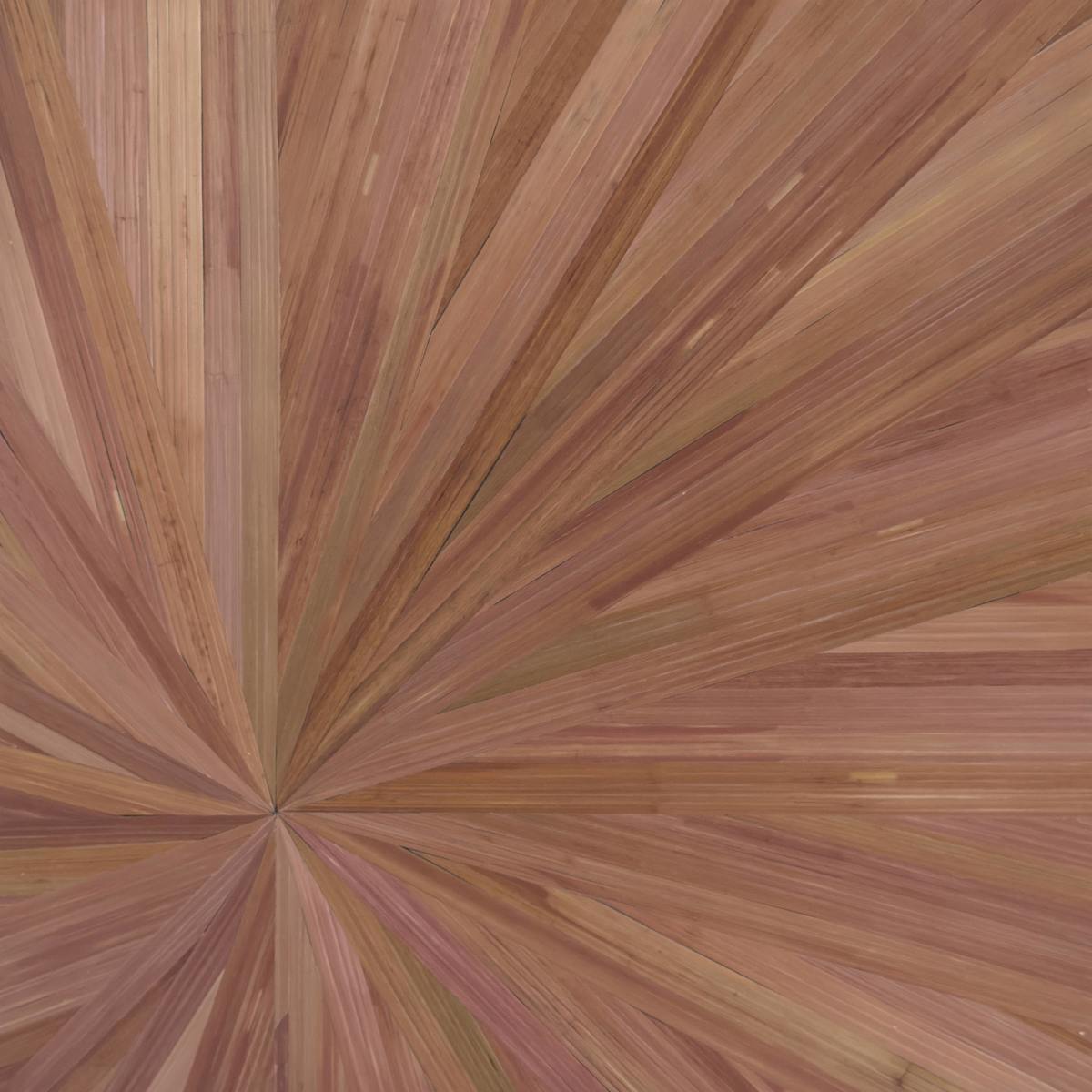 Radiance-Pink-Ref97-4 by Sarah Barone Schwartz, Image 1.