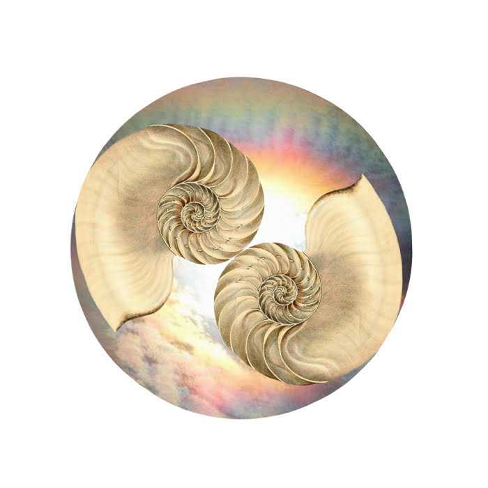 HARMONY by MYSTIC MAMMA | Mijanou Montealegre 