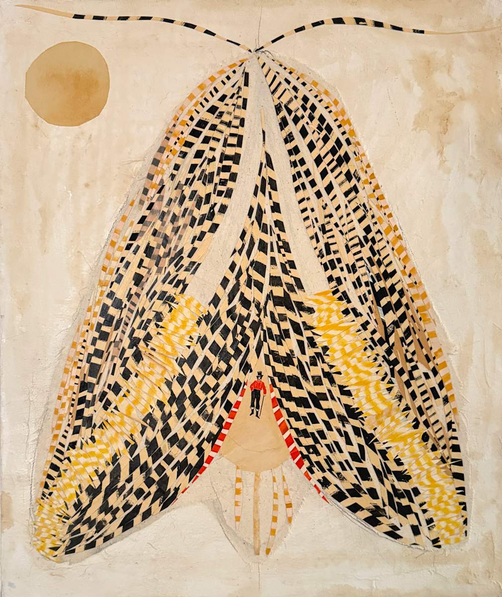Sphinx Moth by Meghan DeRoma 